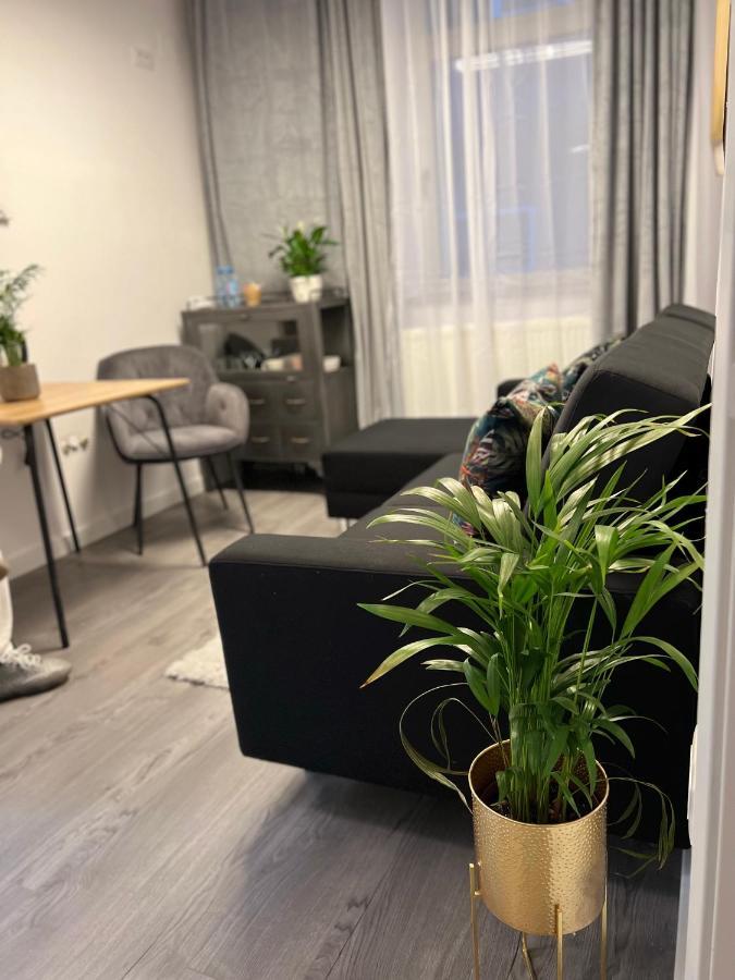 Musai Apartment *